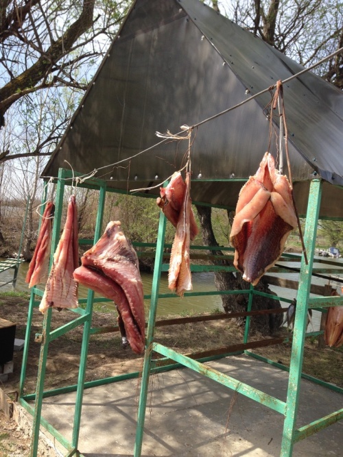 Рыболовная база «ЮЛТА»